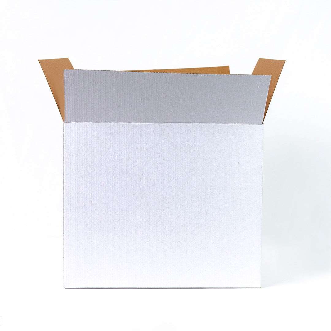 Caja Regular Blanca 30x20x25